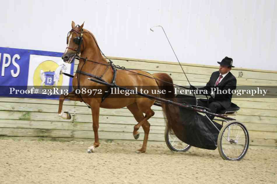 Proof 23R13_08972