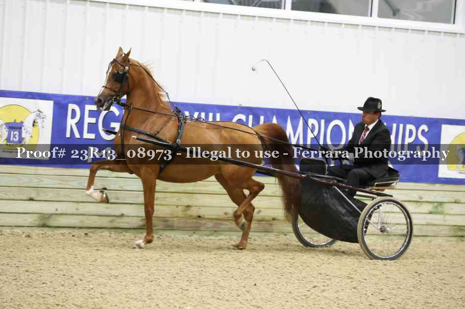 Proof 23R13_08973