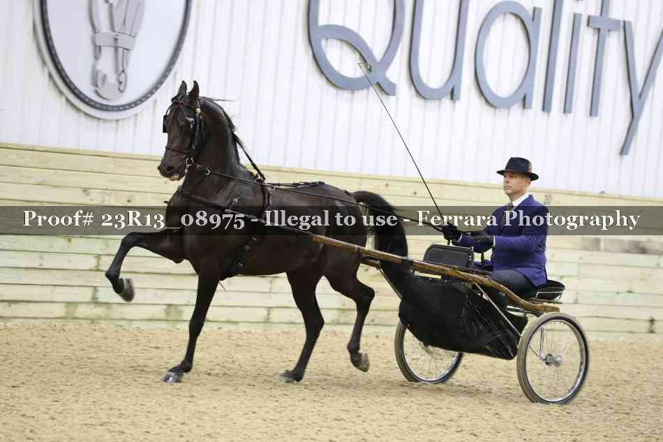 Proof 23R13_08975