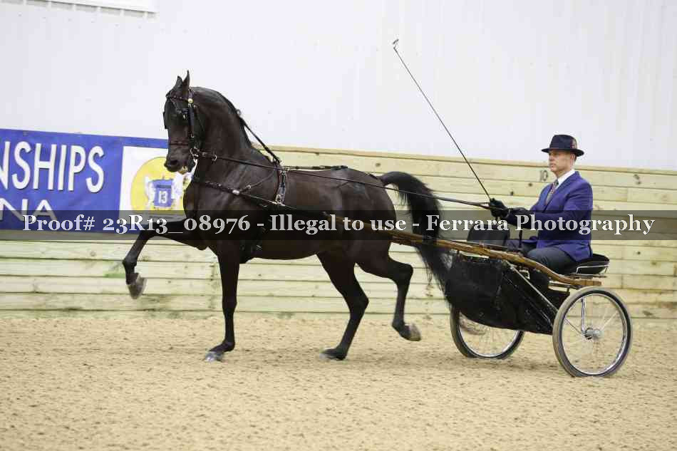 Proof 23R13_08976