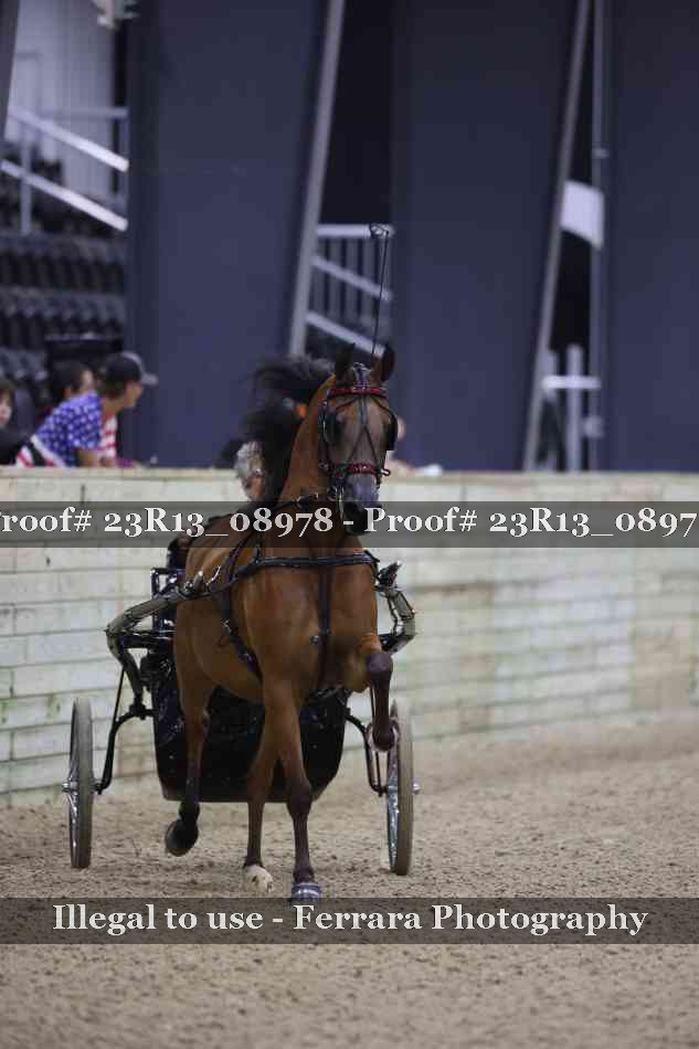 Proof 23R13_08978