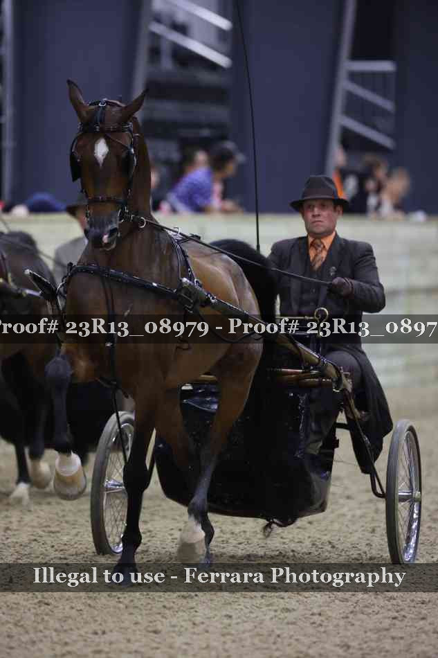 Proof 23R13_08979