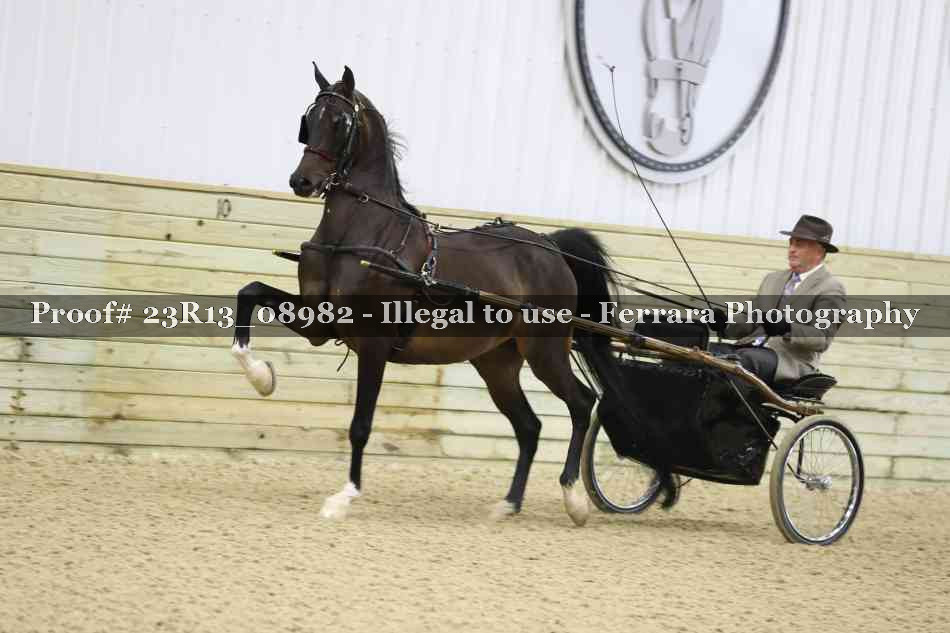 Proof 23R13_08982