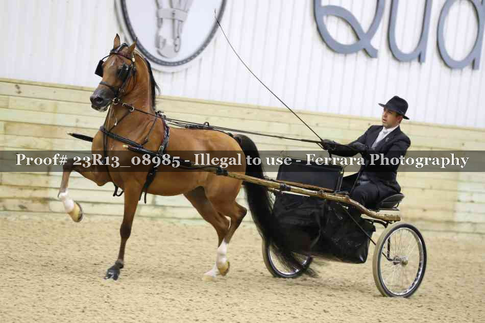 Proof 23R13_08985