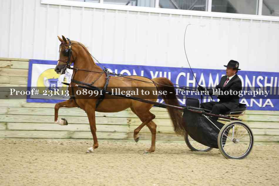 Proof 23R13_08991