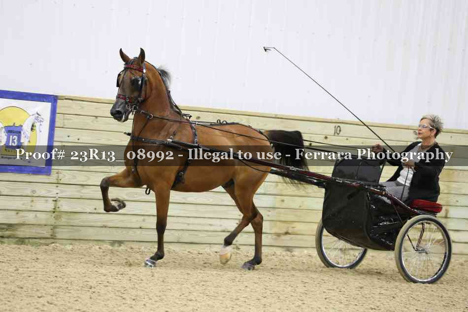 Proof 23R13_08992