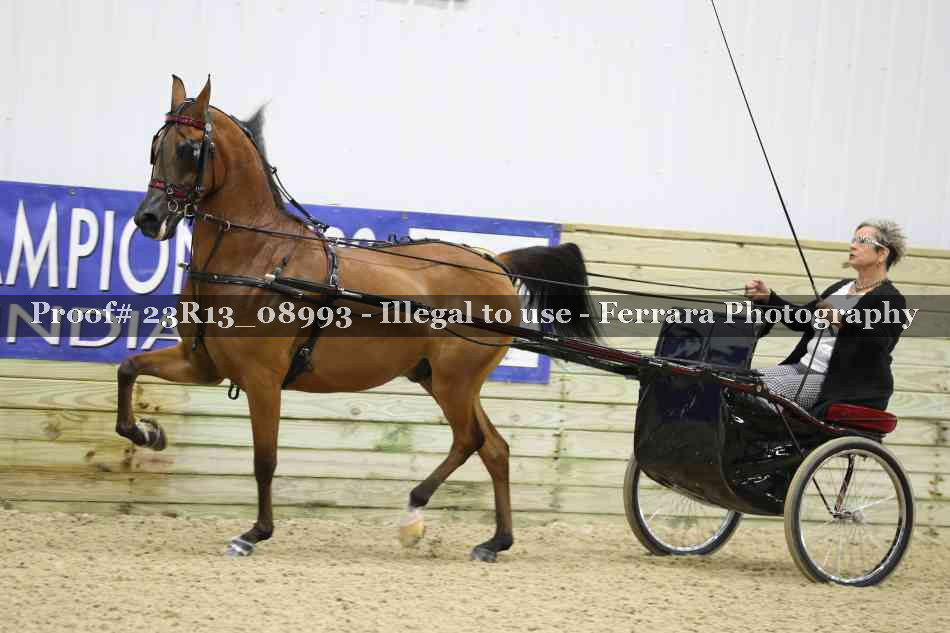 Proof 23R13_08993