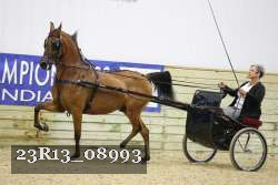 23R13_08993 proof