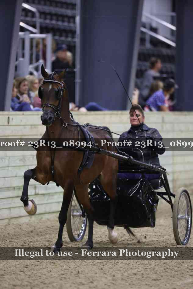 Proof 23R13_08994