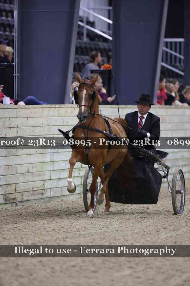 Proof 23R13_08995