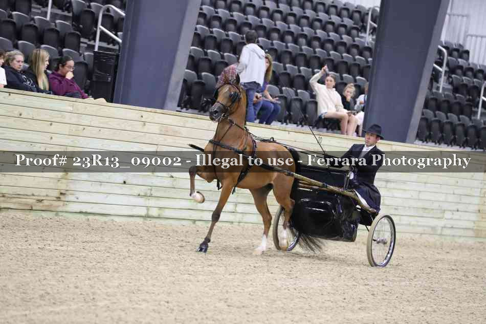 Proof 23R13_09002
