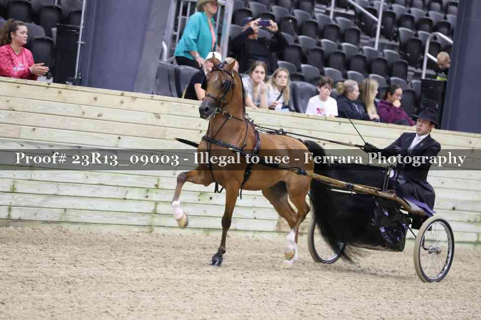 Proof 23R13_09003