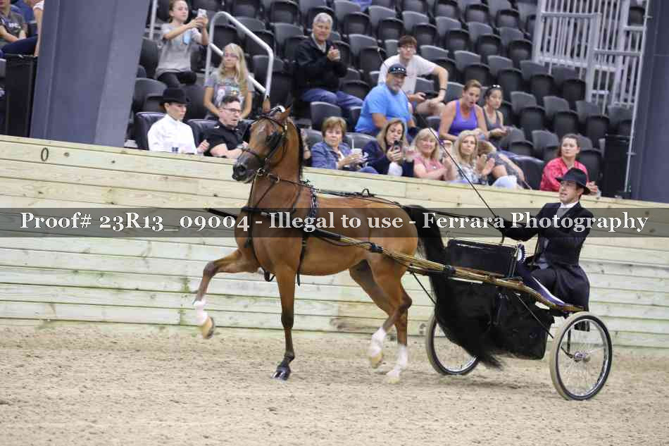 Proof 23R13_09004