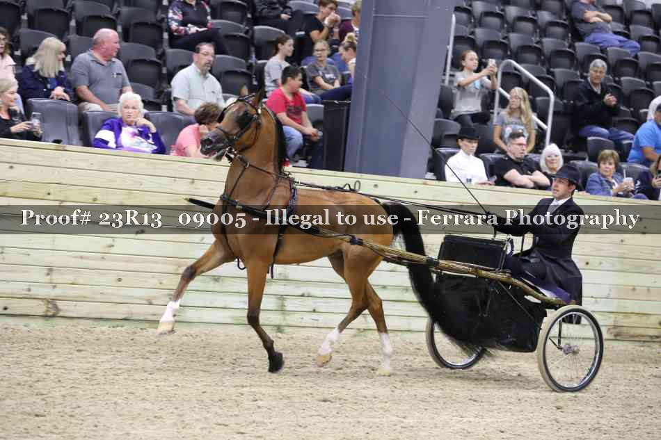 Proof 23R13_09005