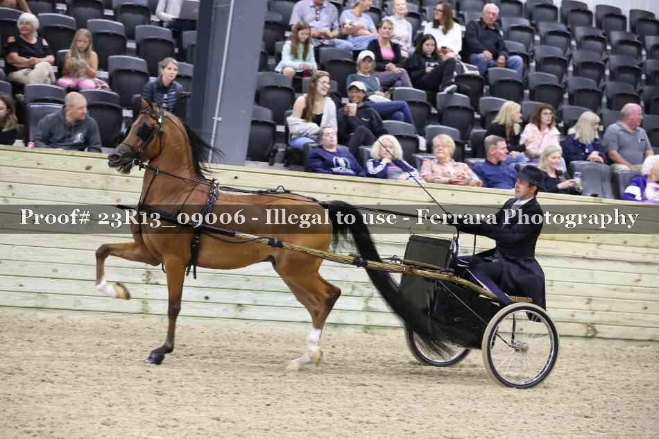 Proof 23R13_09006