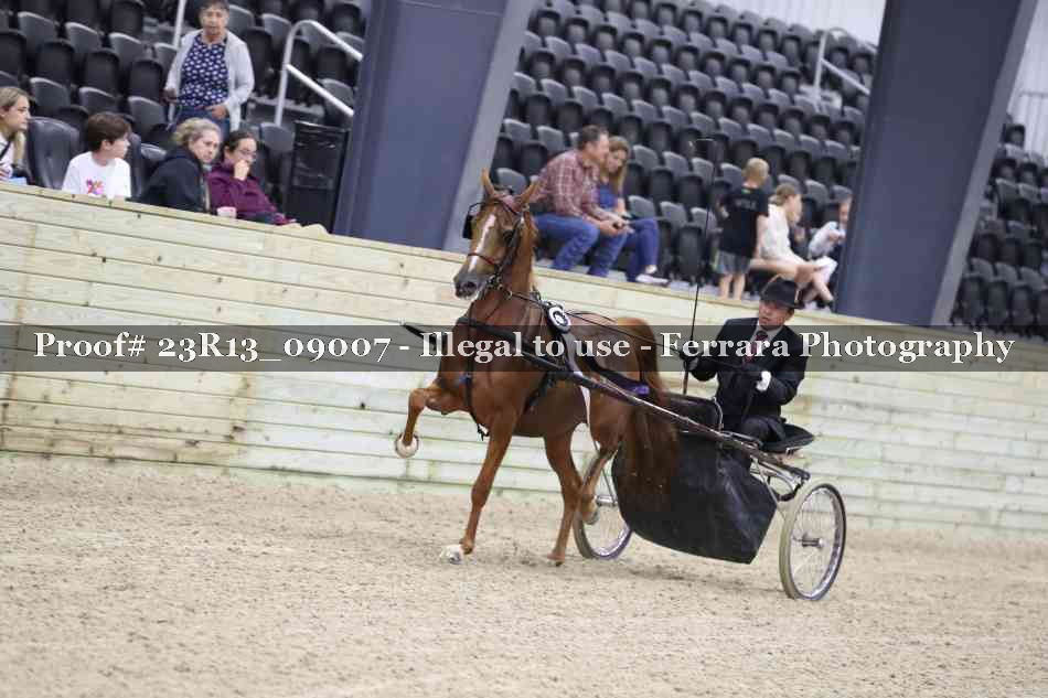 Proof 23R13_09007