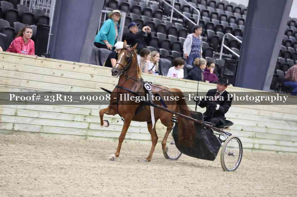 Proof 23R13_09008