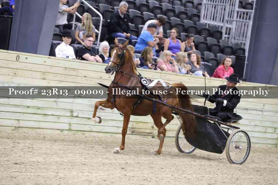 Proof 23R13_09009