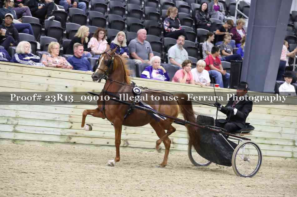 Proof 23R13_09010