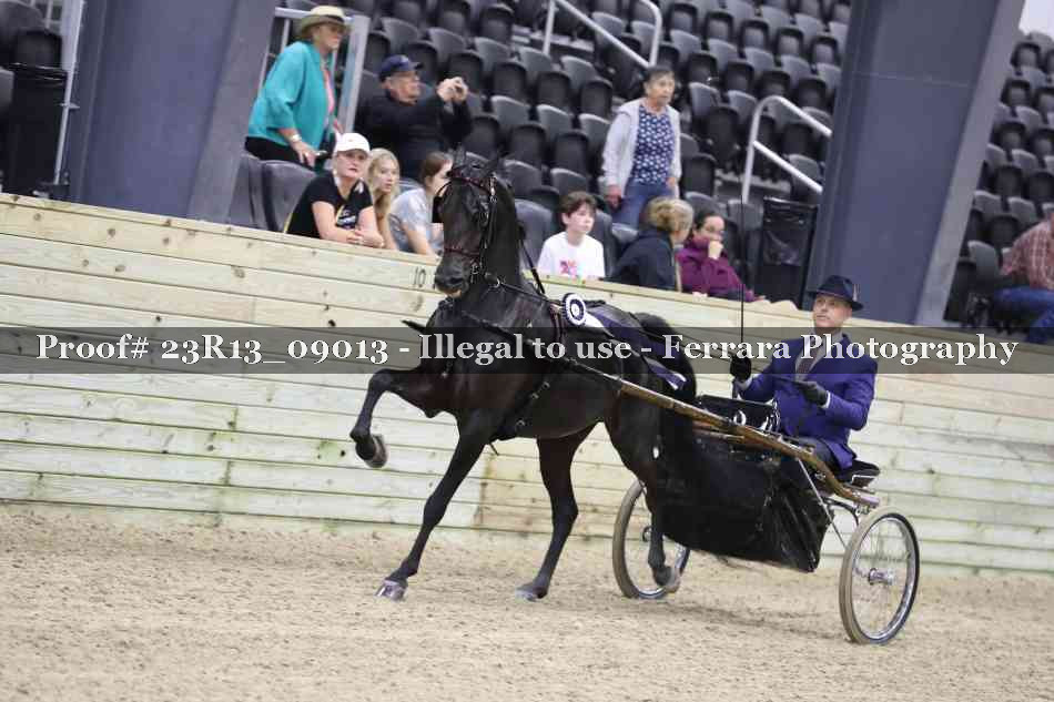 Proof 23R13_09013