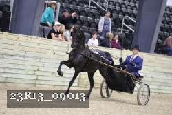 23R13_09013 proof