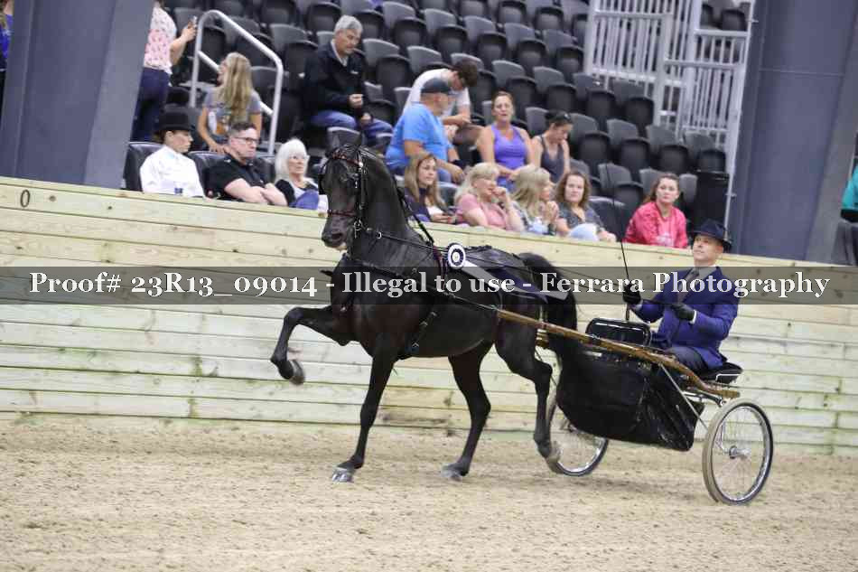 Proof 23R13_09014