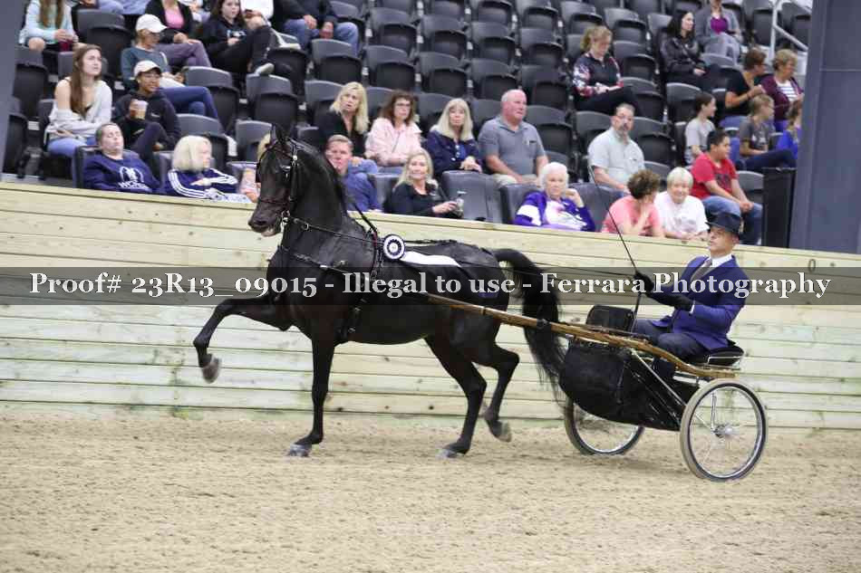 Proof 23R13_09015
