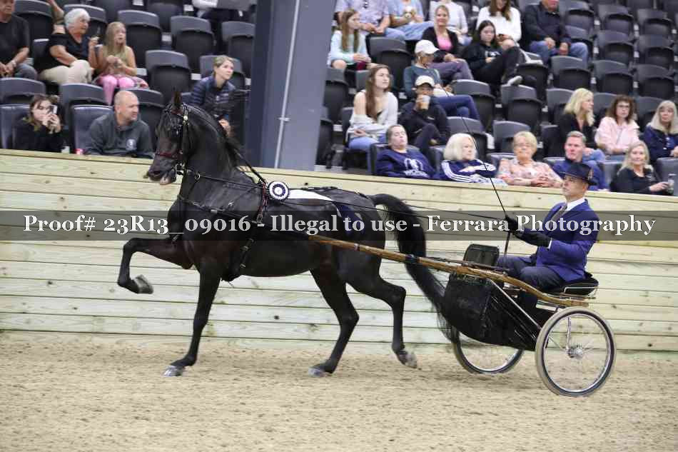 Proof 23R13_09016