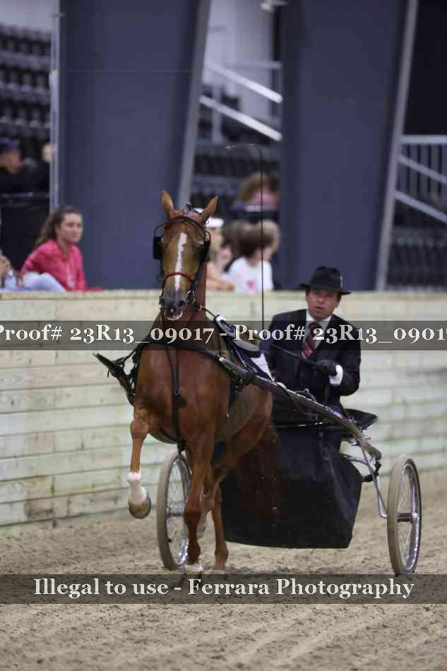 Proof 23R13_09017