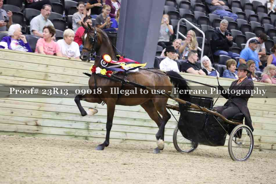 Proof 23R13_09018