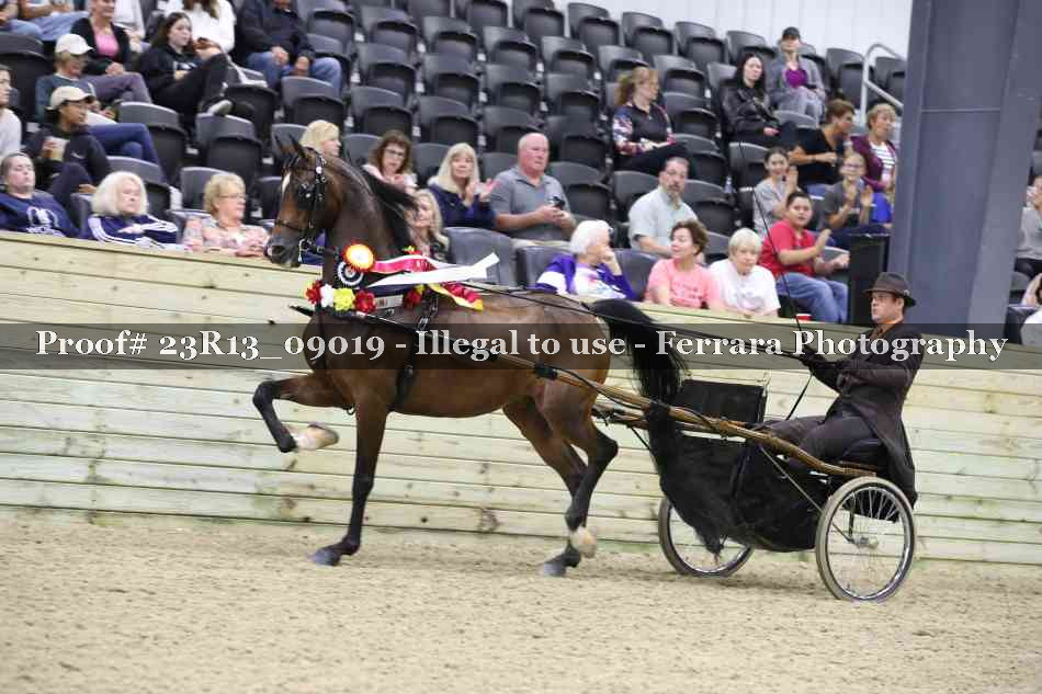 Proof 23R13_09019