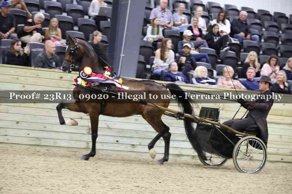 Proof 23R13_09020