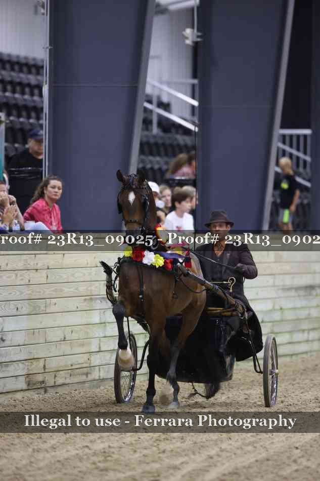 Proof 23R13_09025