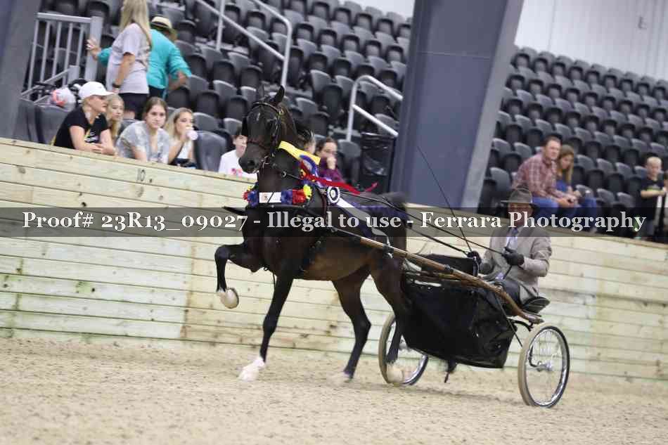 Proof 23R13_09027