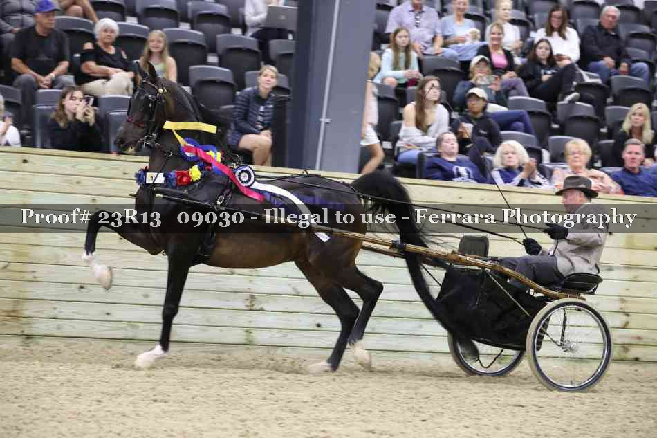 Proof 23R13_09030
