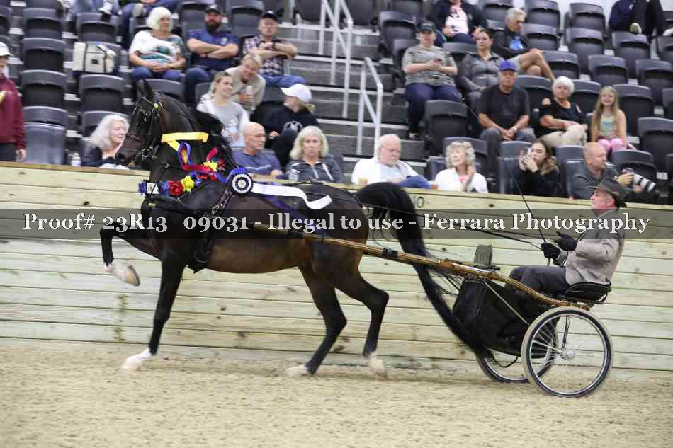 Proof 23R13_09031