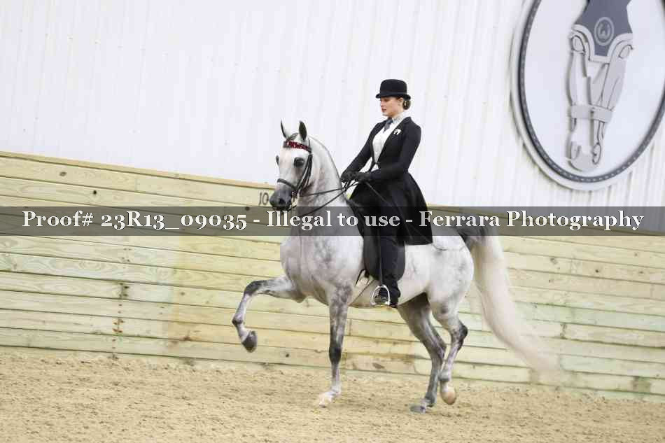 Proof 23R13_09035