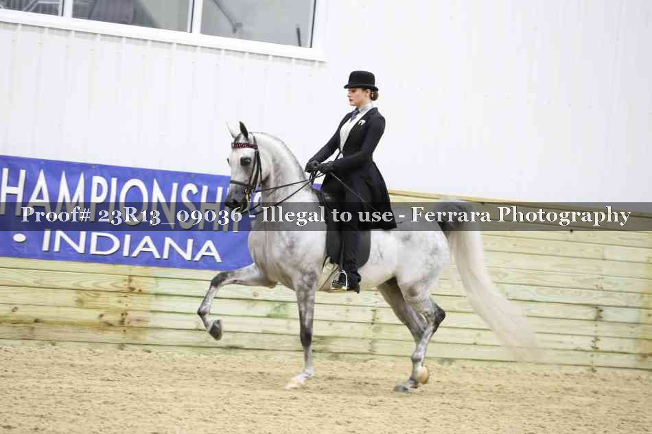 Proof 23R13_09036