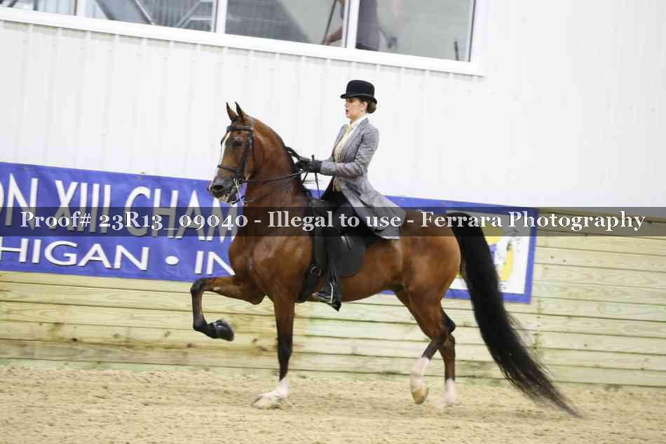 Proof 23R13_09040