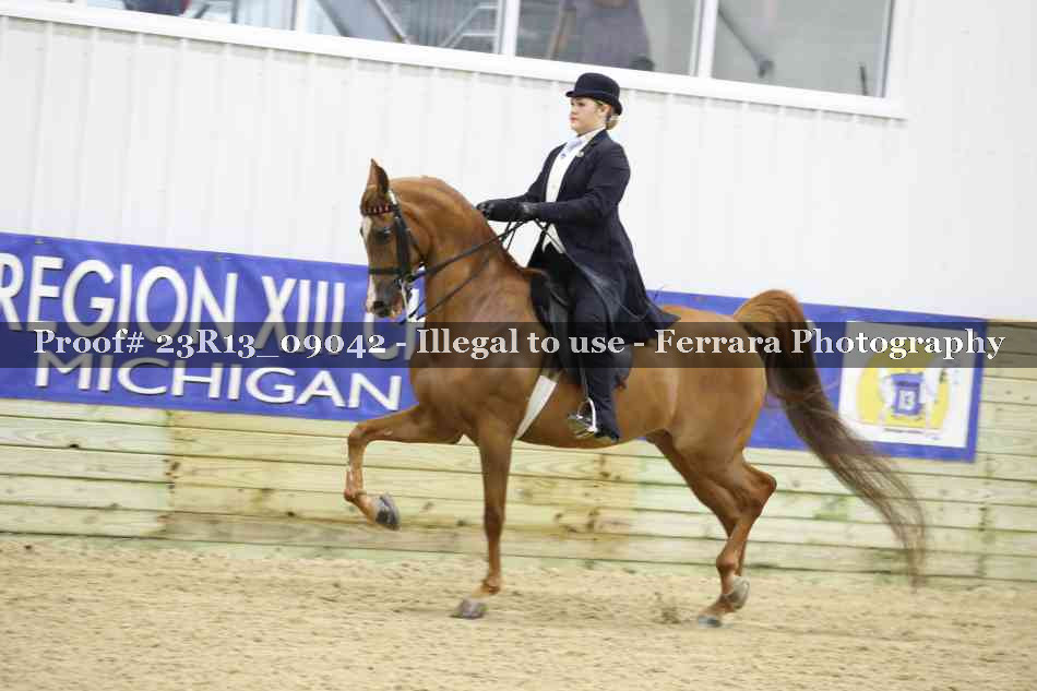 Proof 23R13_09042