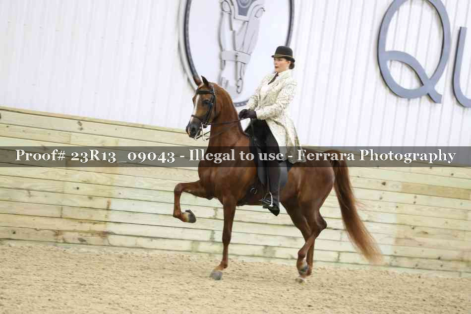 Proof 23R13_09043