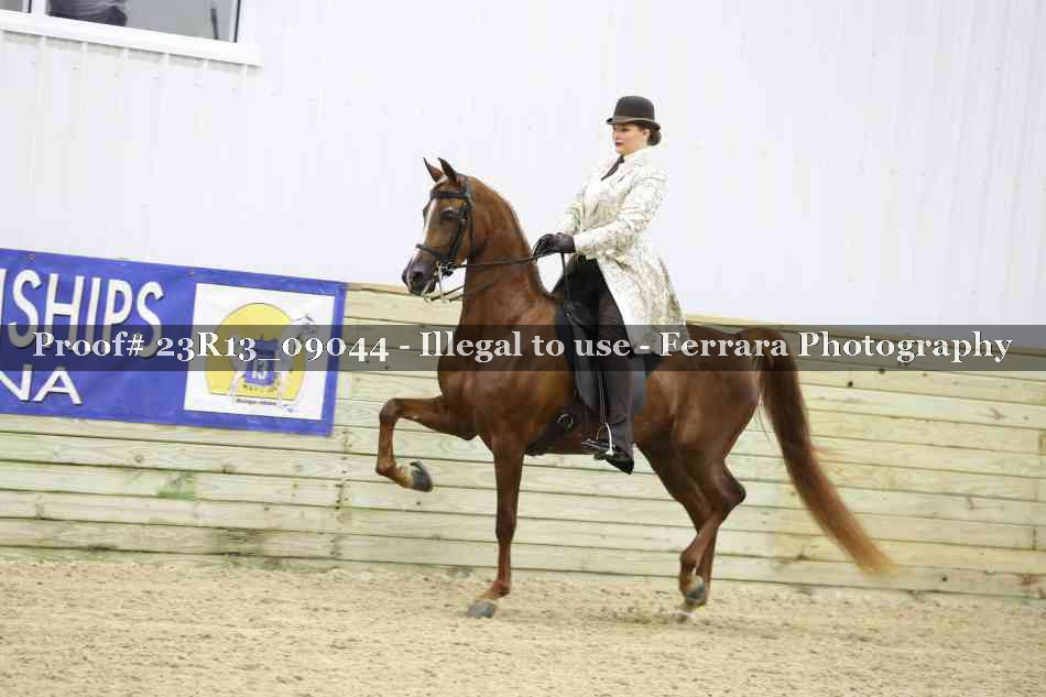 Proof 23R13_09044