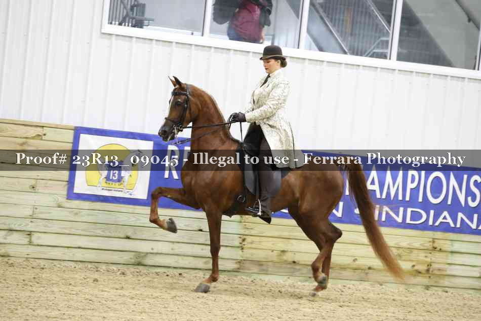 Proof 23R13_09045