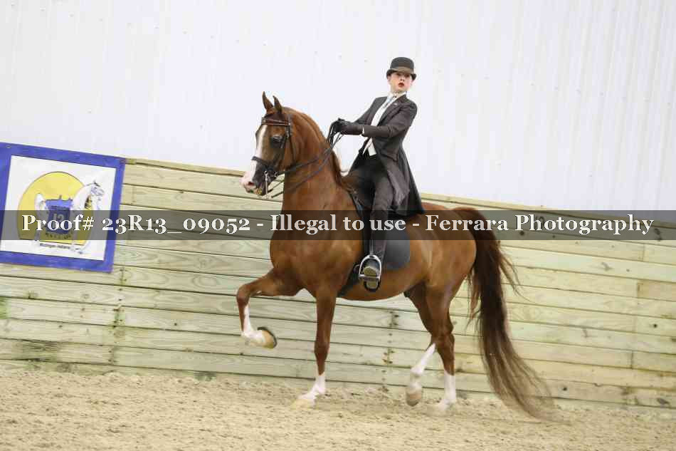 Proof 23R13_09052