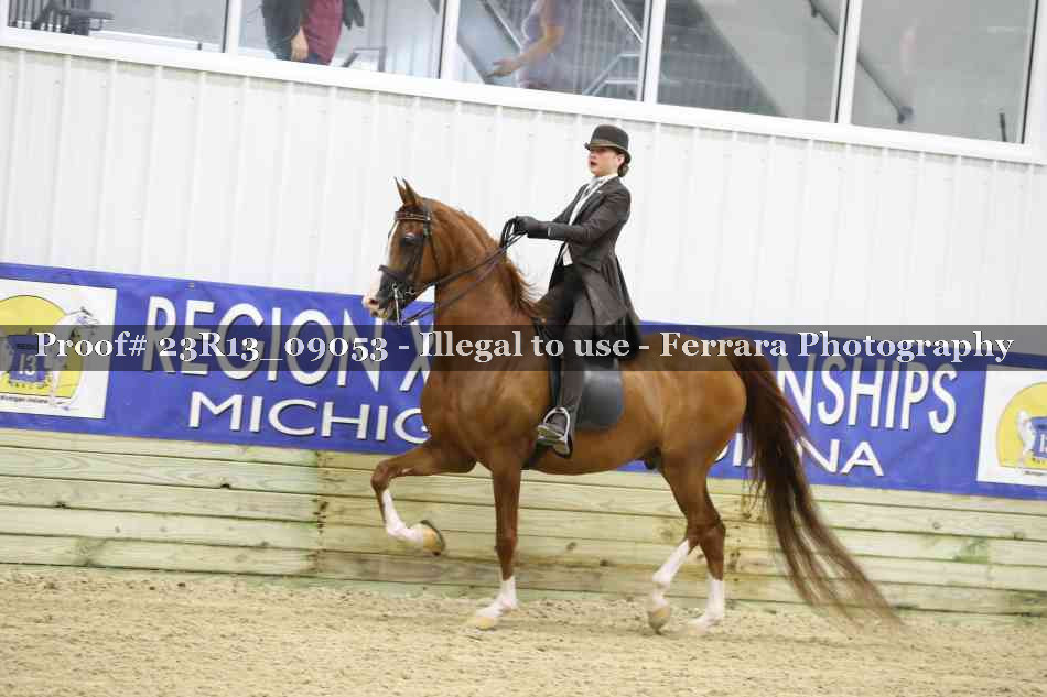 Proof 23R13_09053