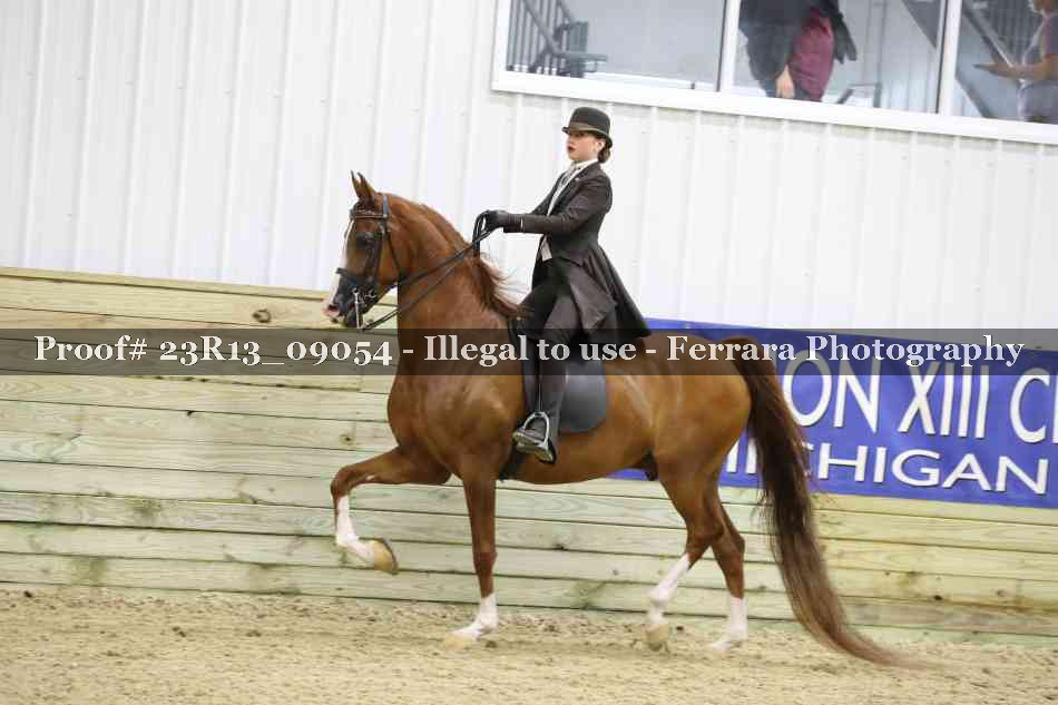 Proof 23R13_09054