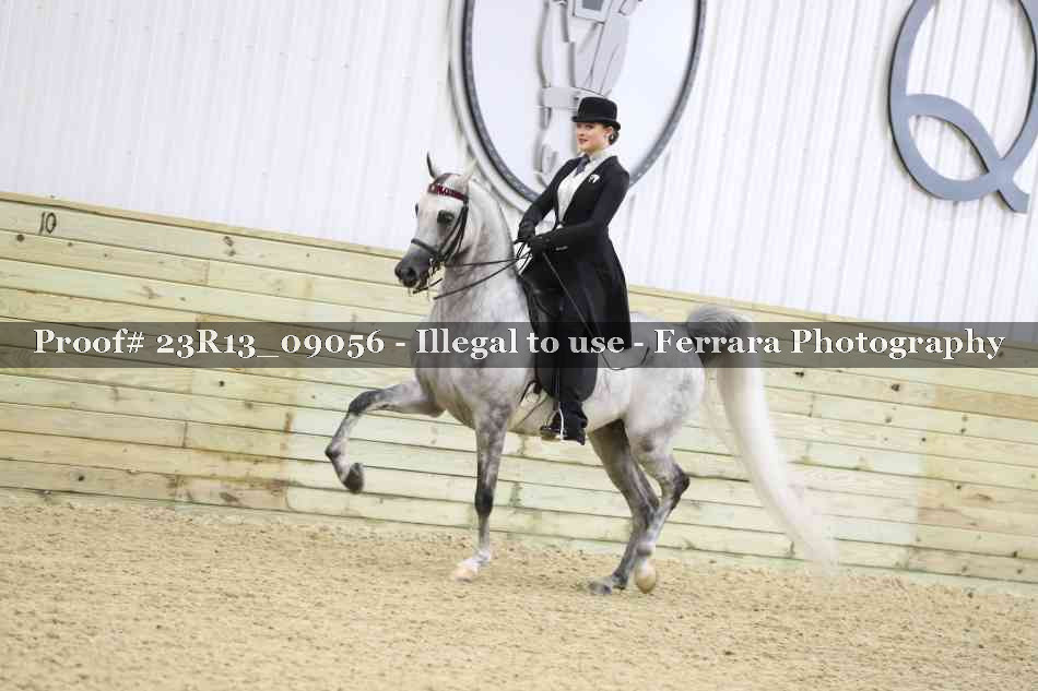 Proof 23R13_09056