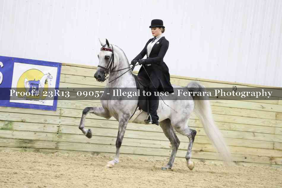 Proof 23R13_09057