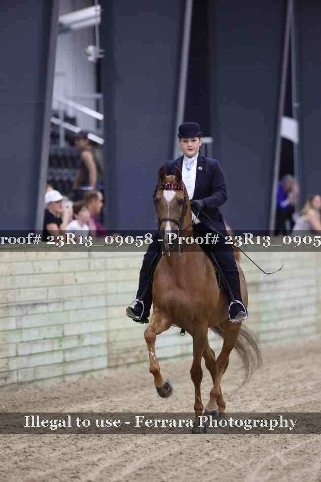 Proof 23R13_09058
