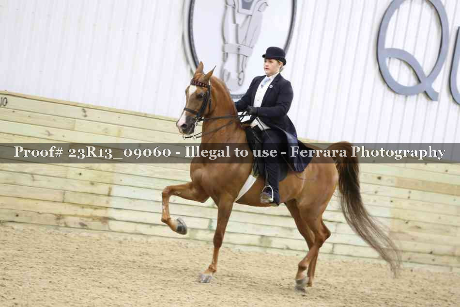 Proof 23R13_09060